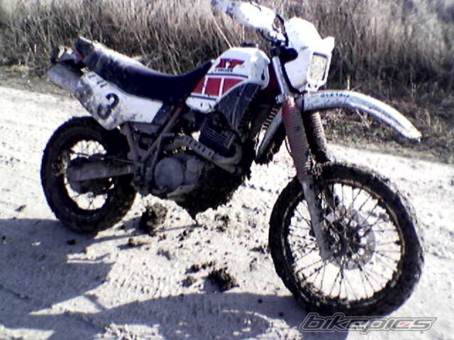 Bike Photo 768731