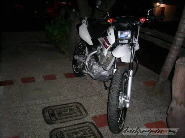 Photo 768732