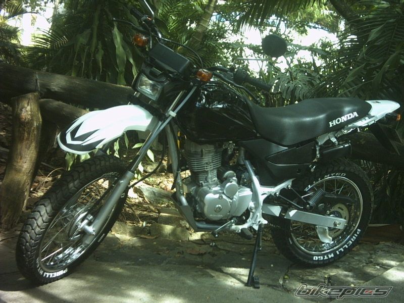 Photo 768745