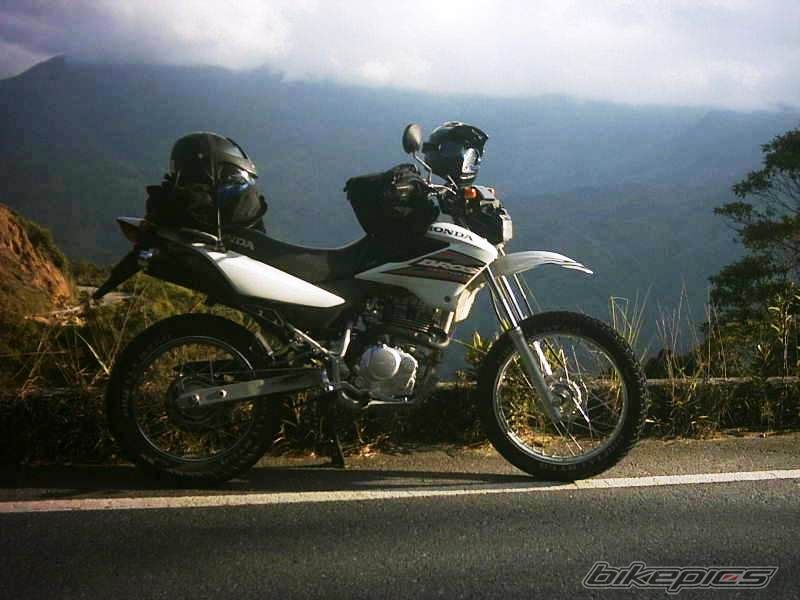 Photo 768768