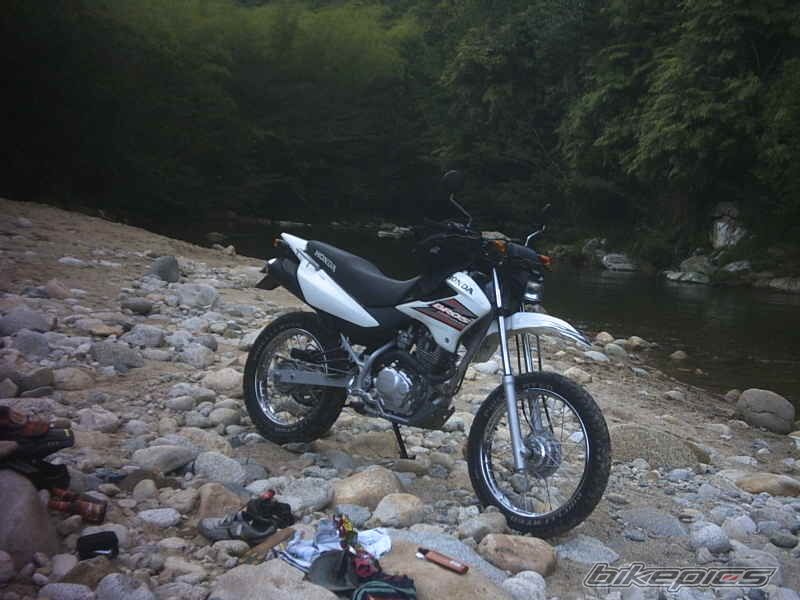 Photo 768772