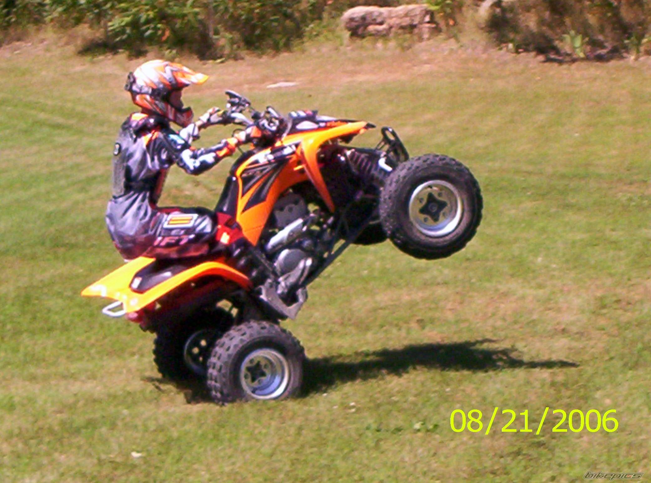 Photo 768823