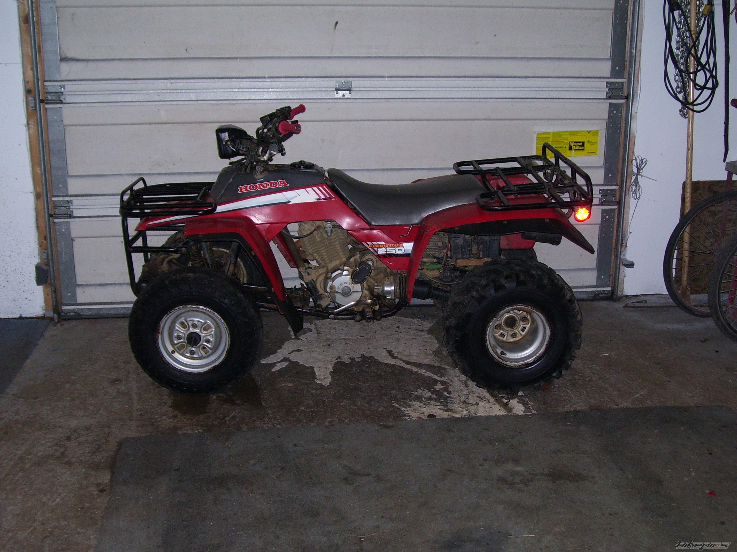 Photo 768891