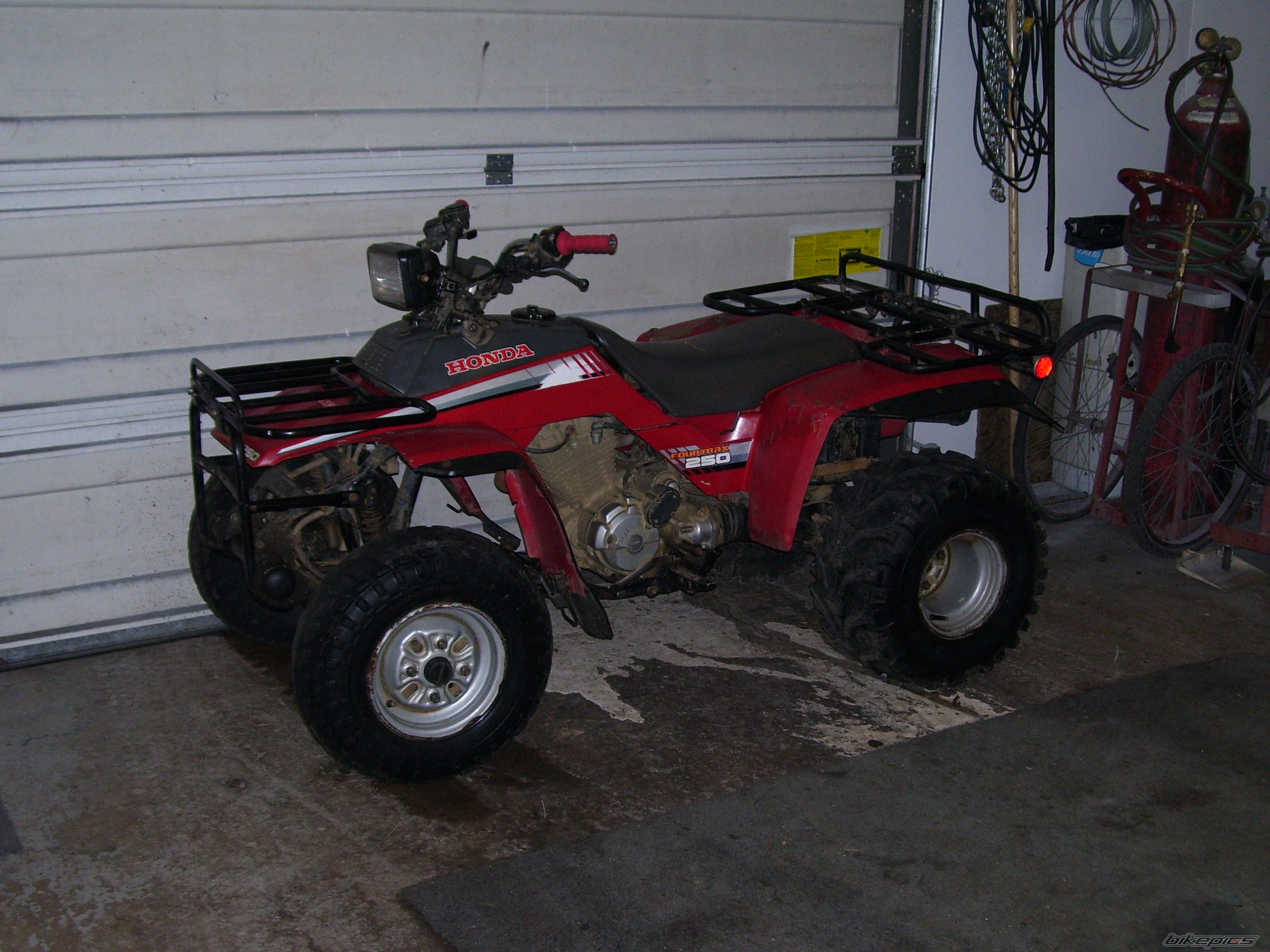 Photo 768894