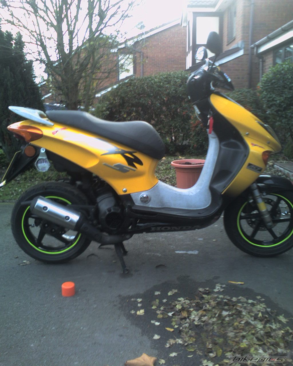 Photo 768948