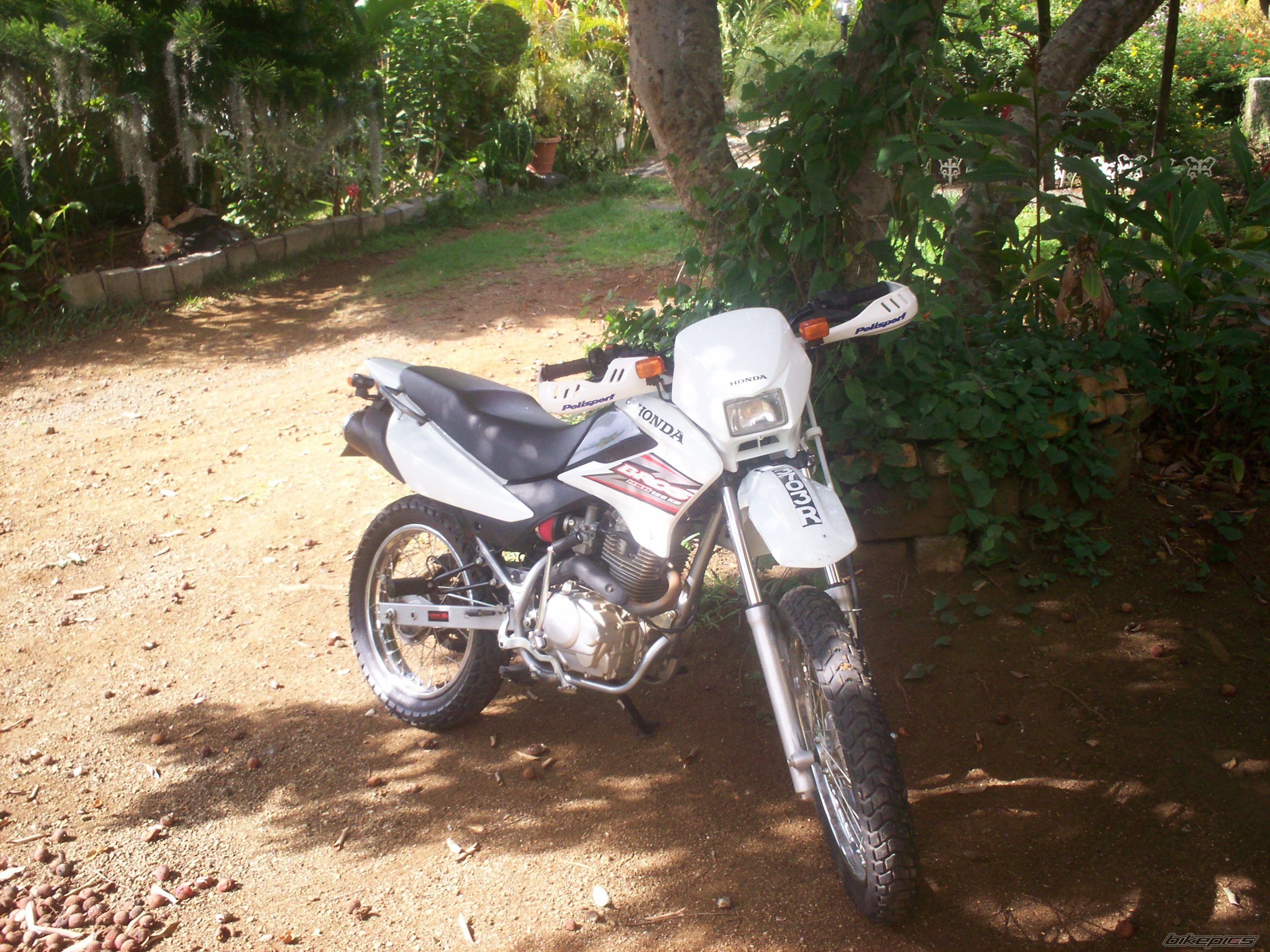 Photo 769151