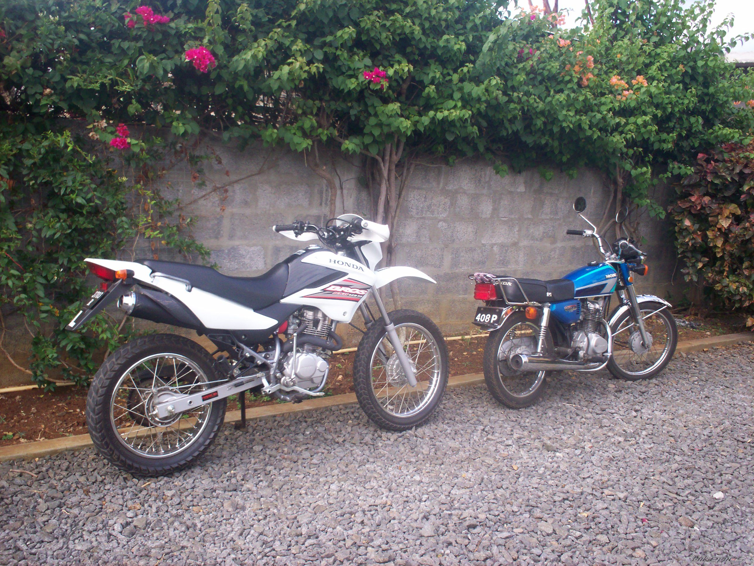 Photo 769158
