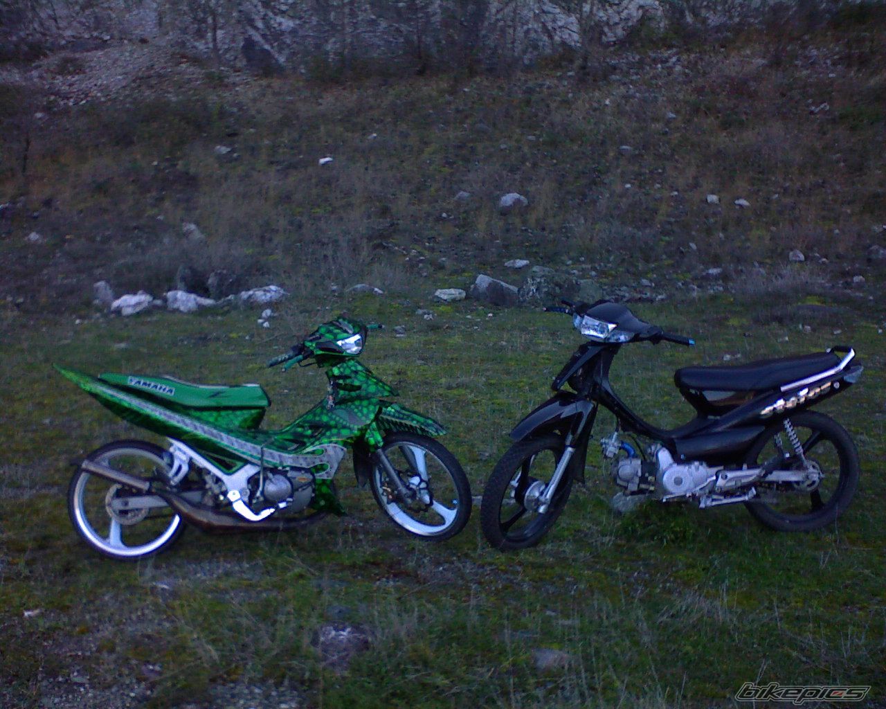 Photo 769183