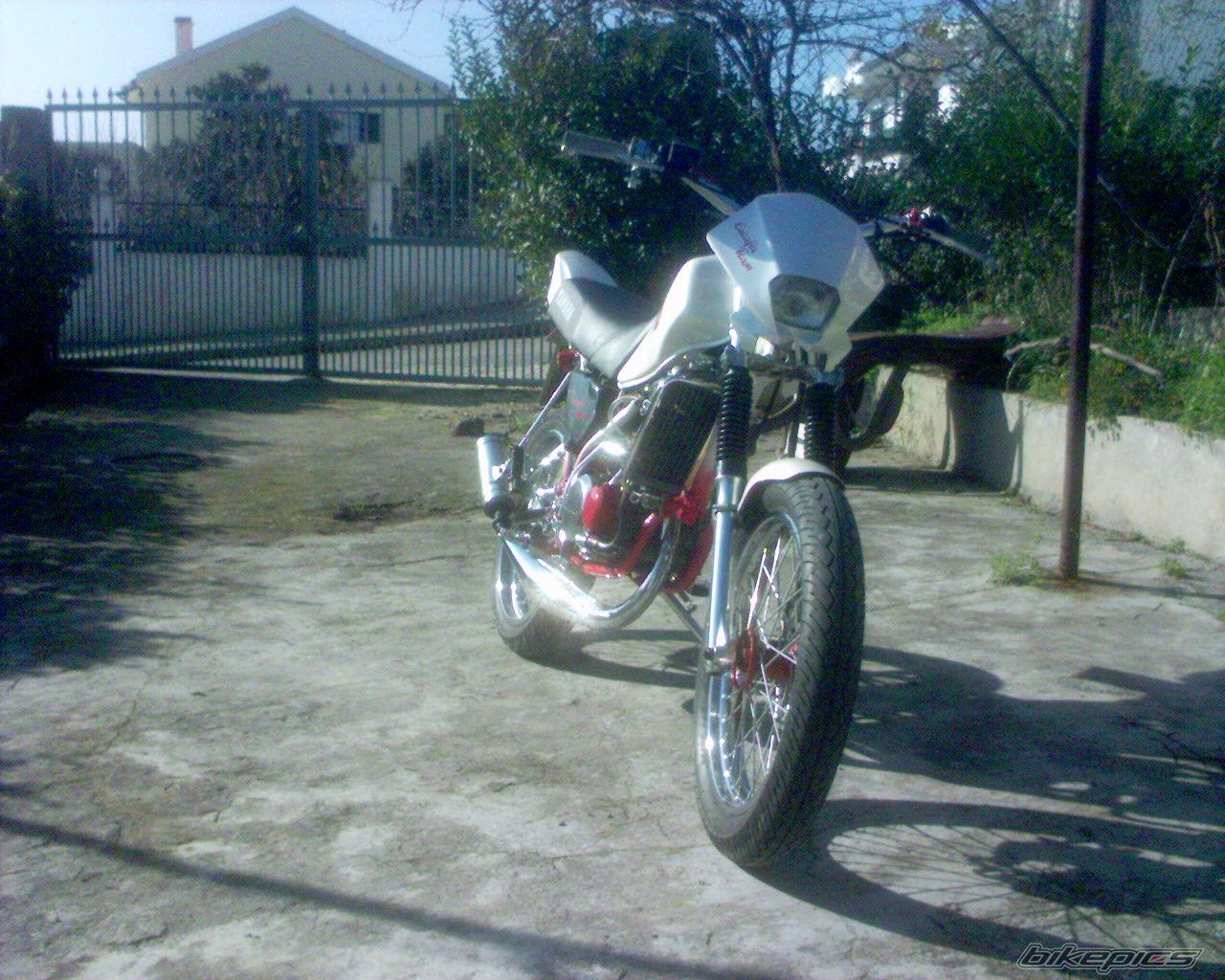 Photo 769309