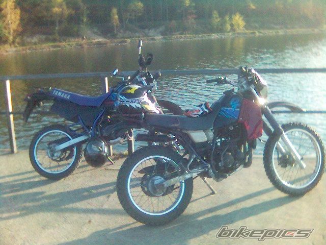 Photo 769330