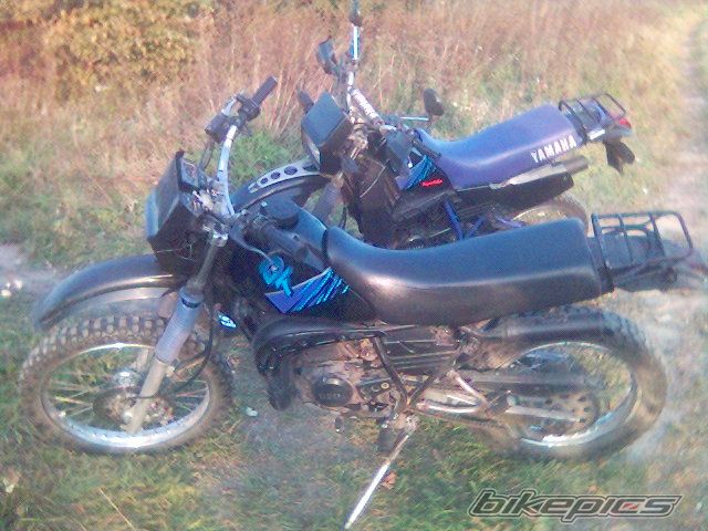 Photo 769331