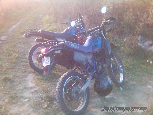 Photo 769333