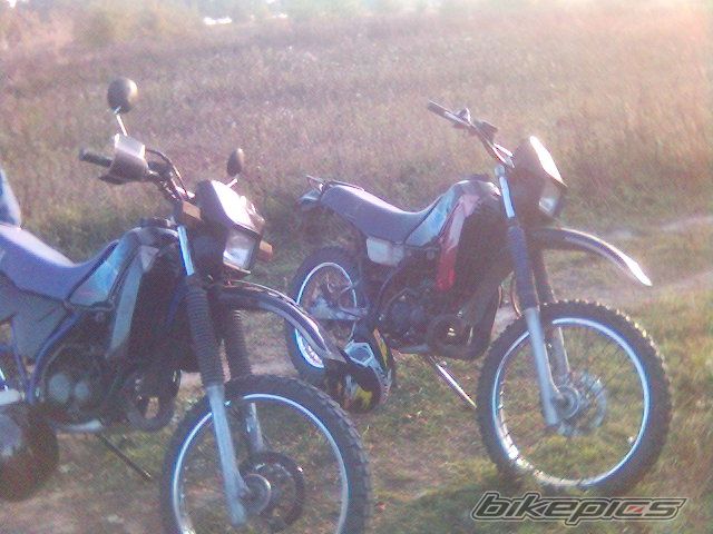 Photo 769334