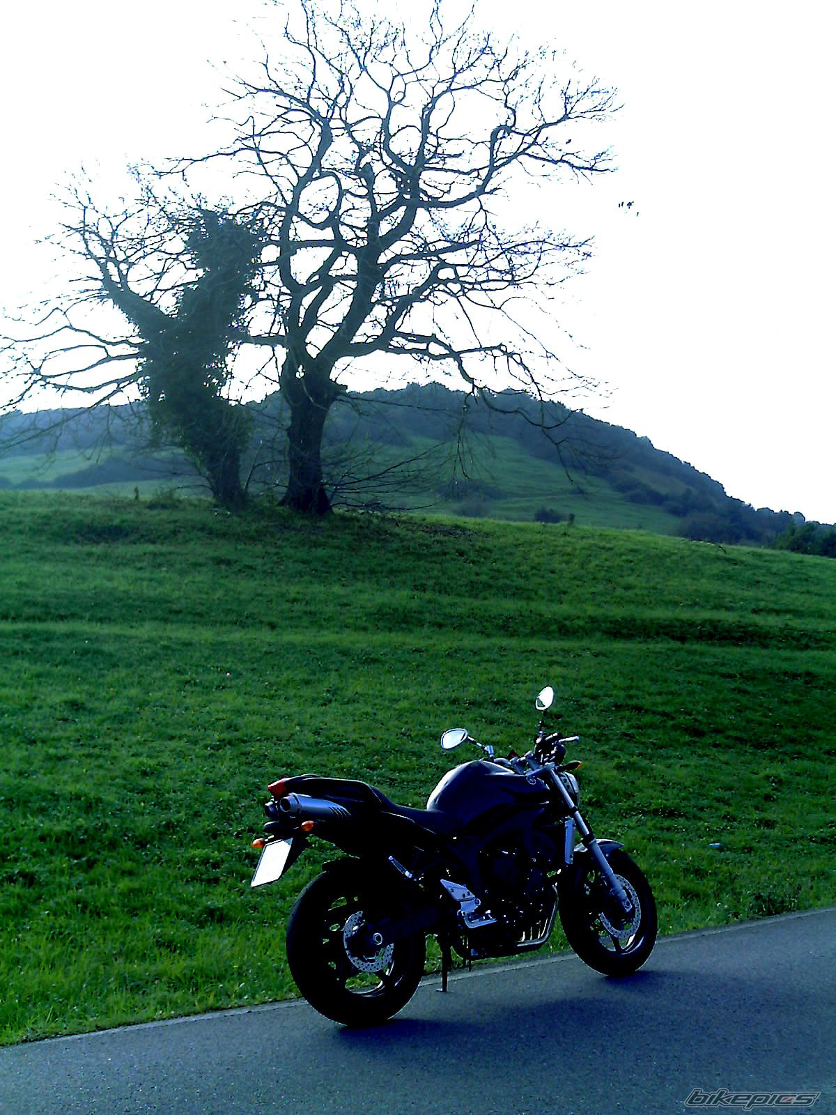 Bike Photo 769340
