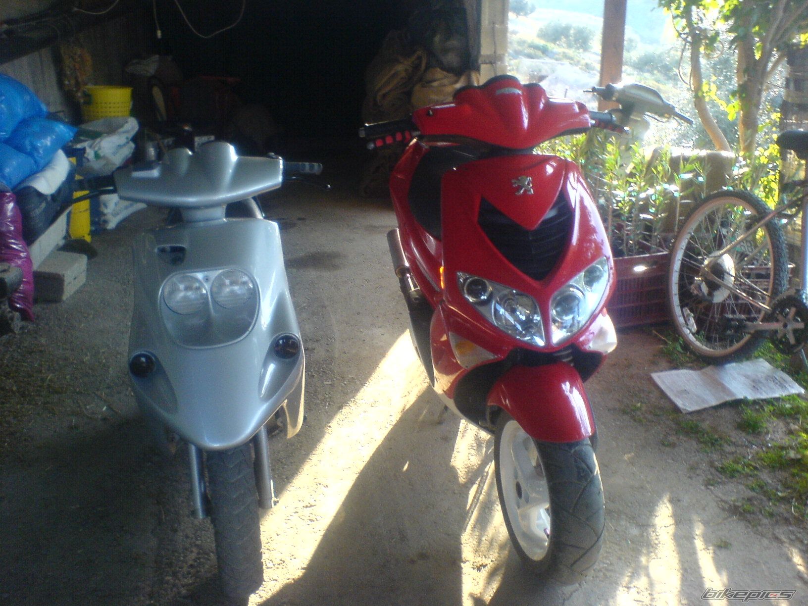 Photo 769414