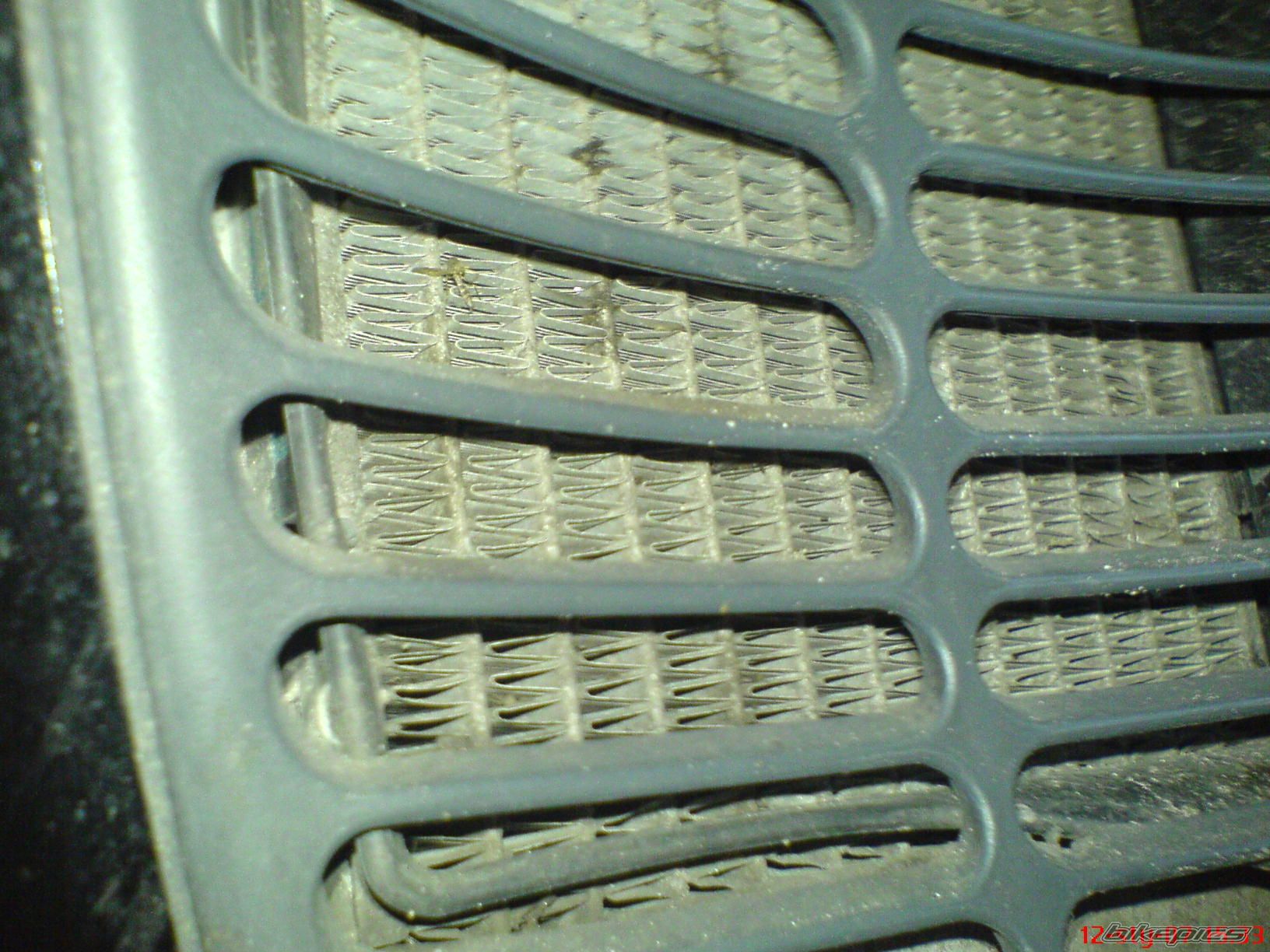 Photo 769432