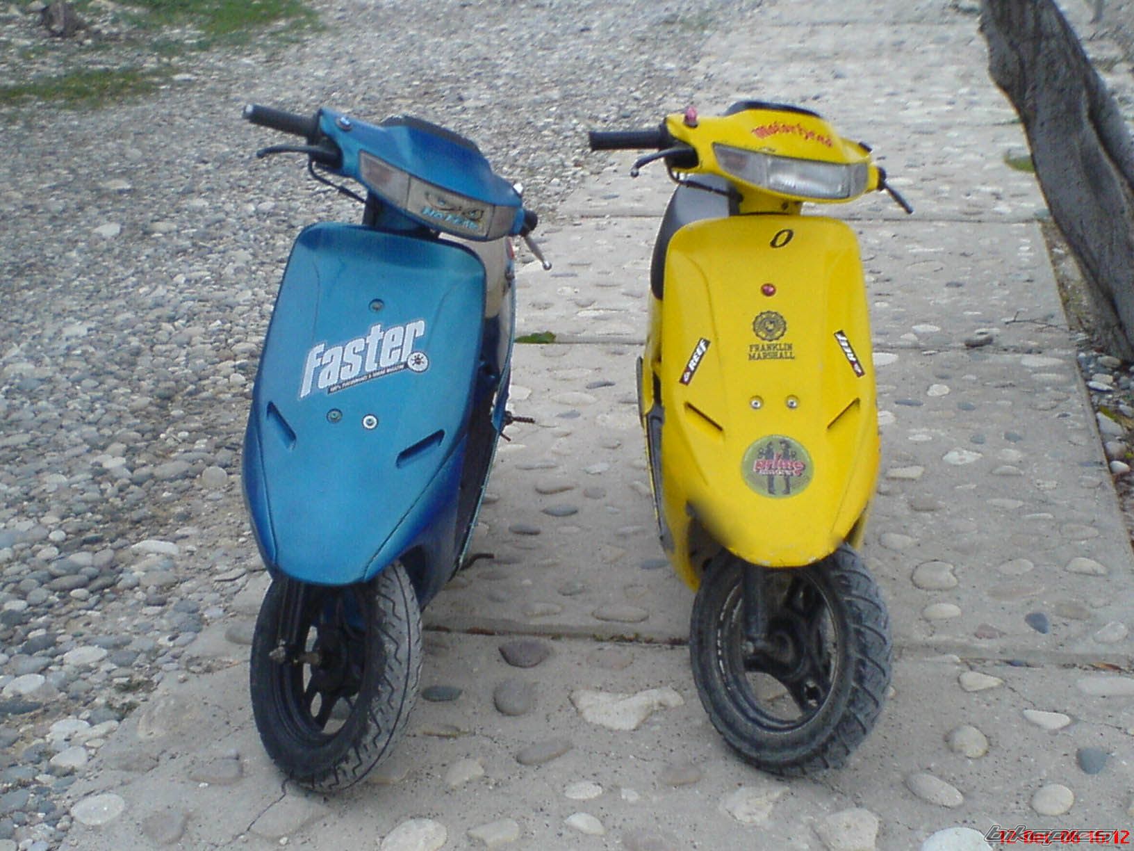 Photo 769452