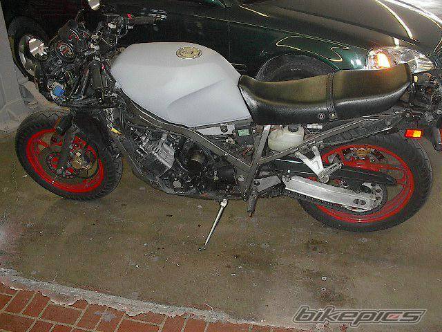 Photo 76951