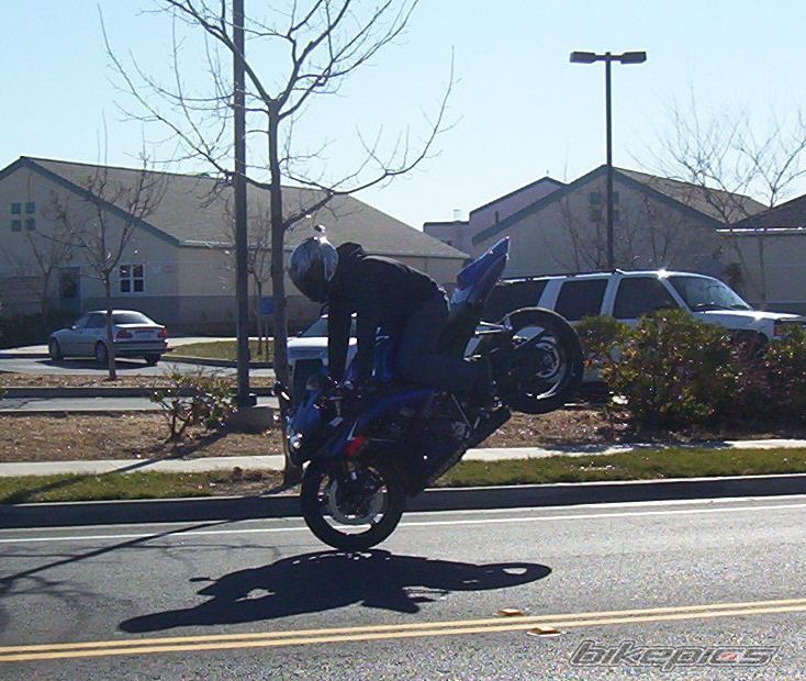 Photo 769693
