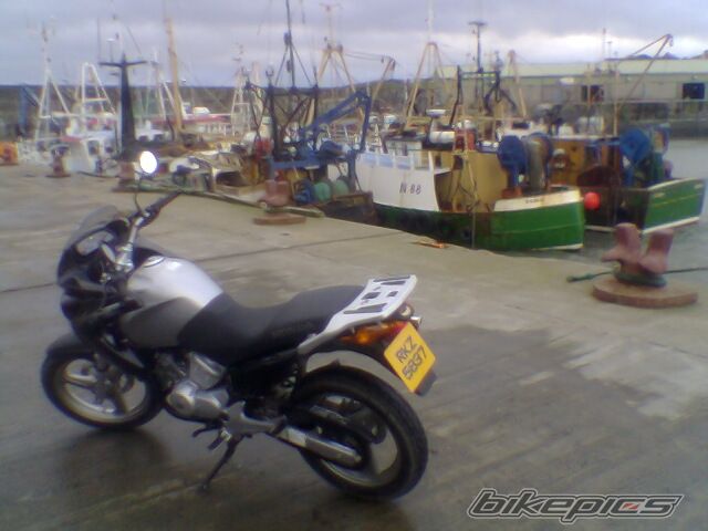 Photo 769705