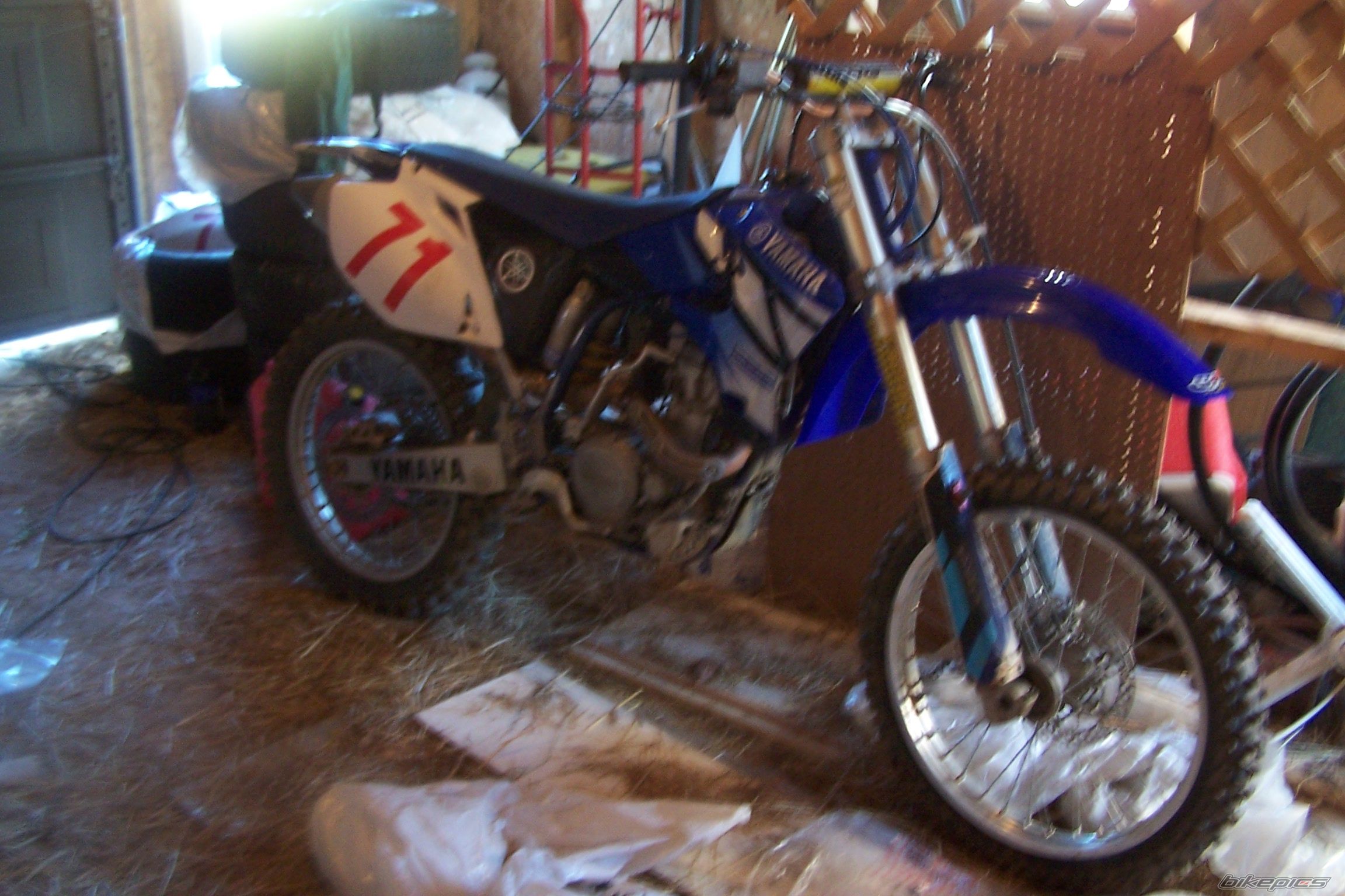 Photo 769715