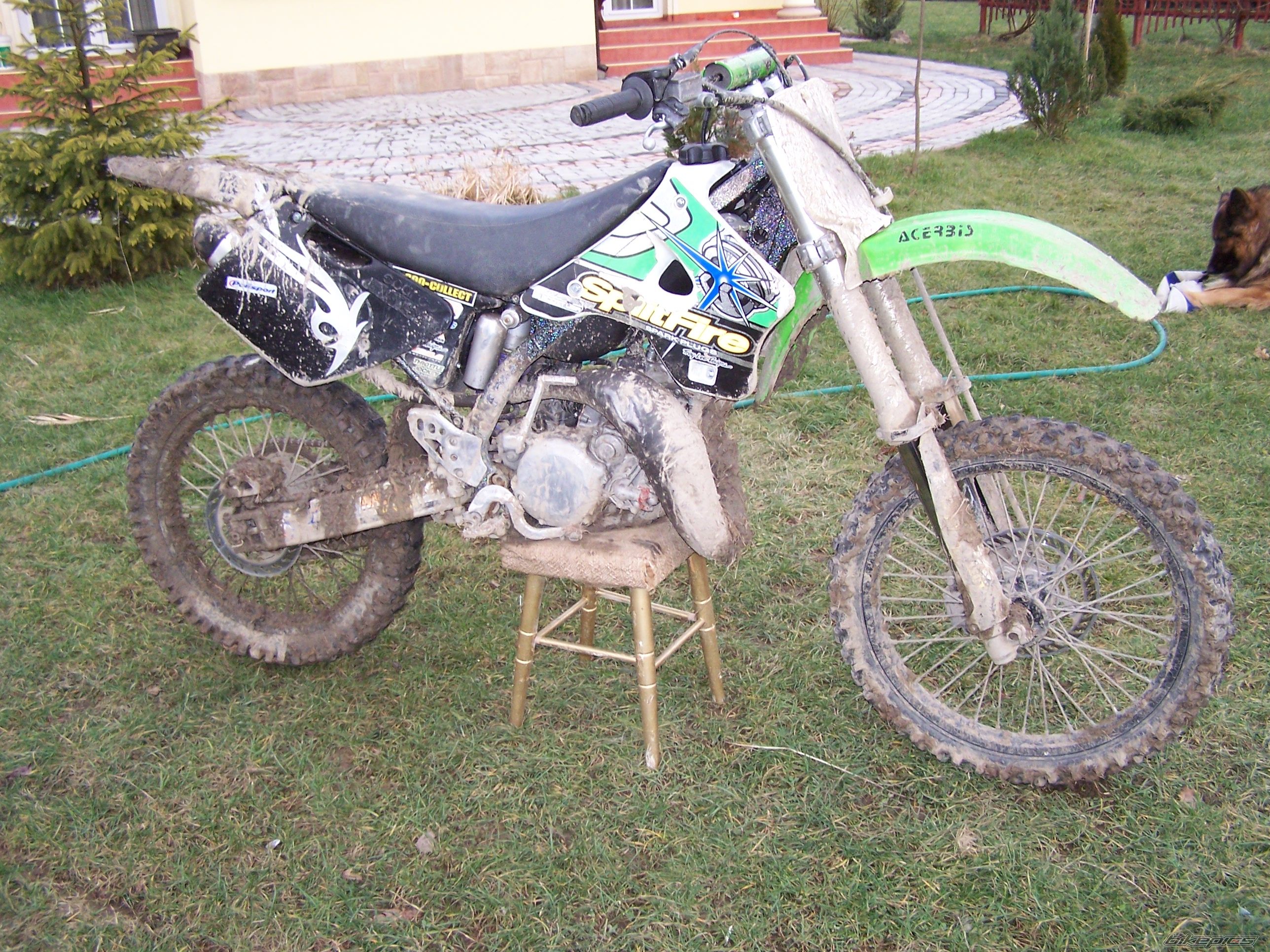 Photo 769995