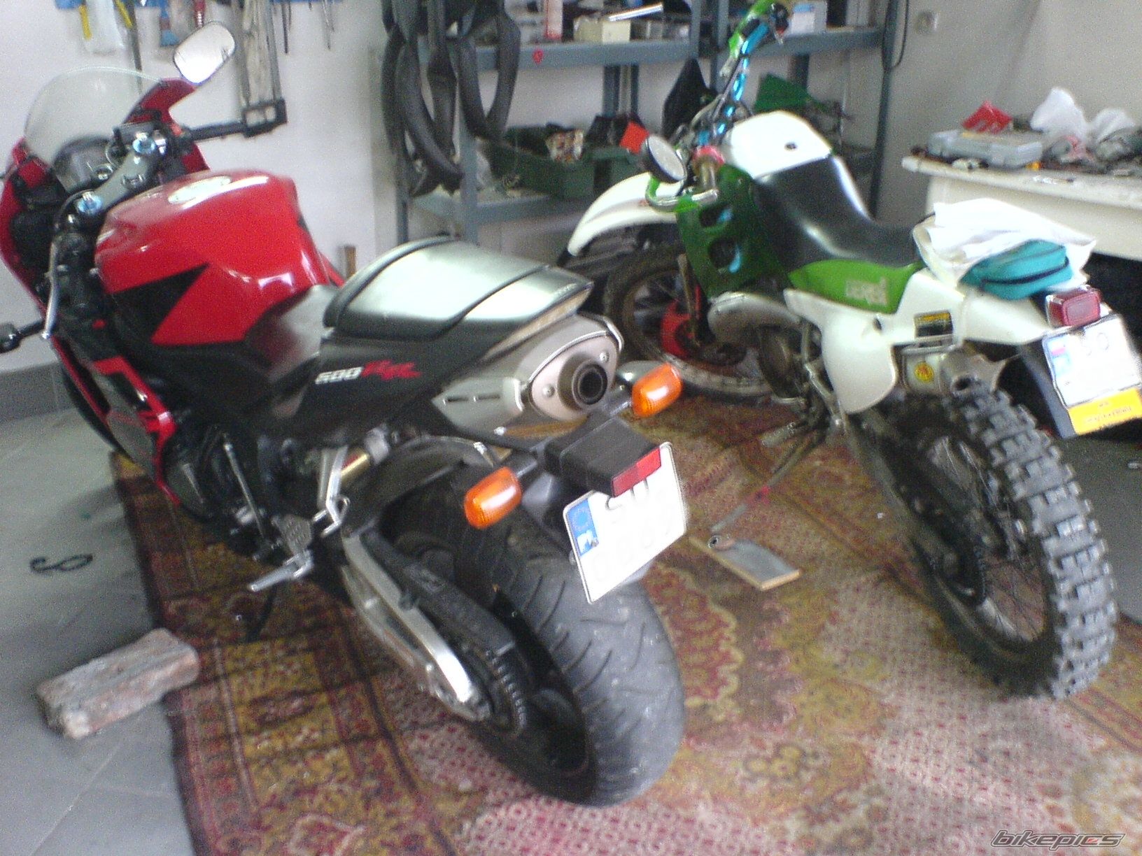 Photo 770278