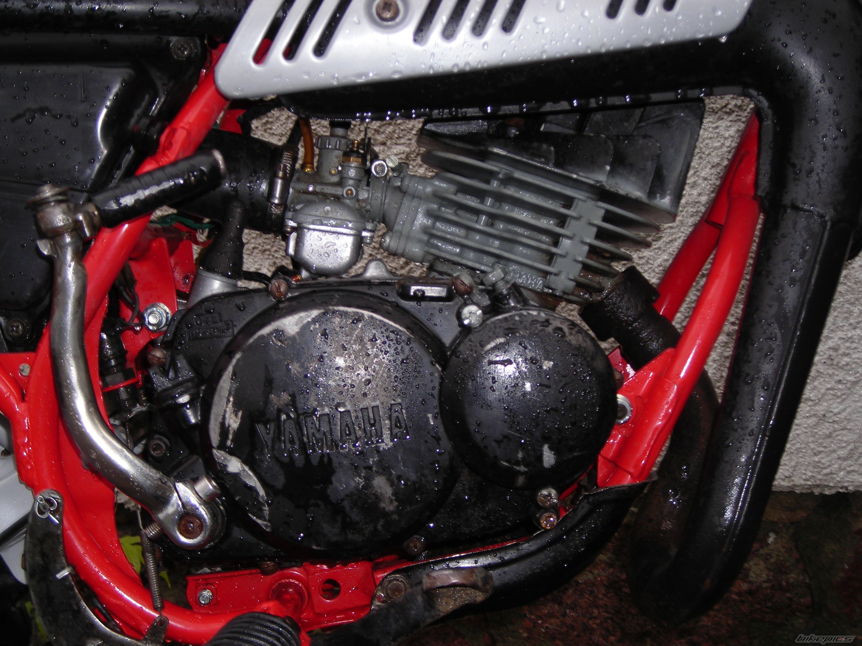 Bike Photo 770589