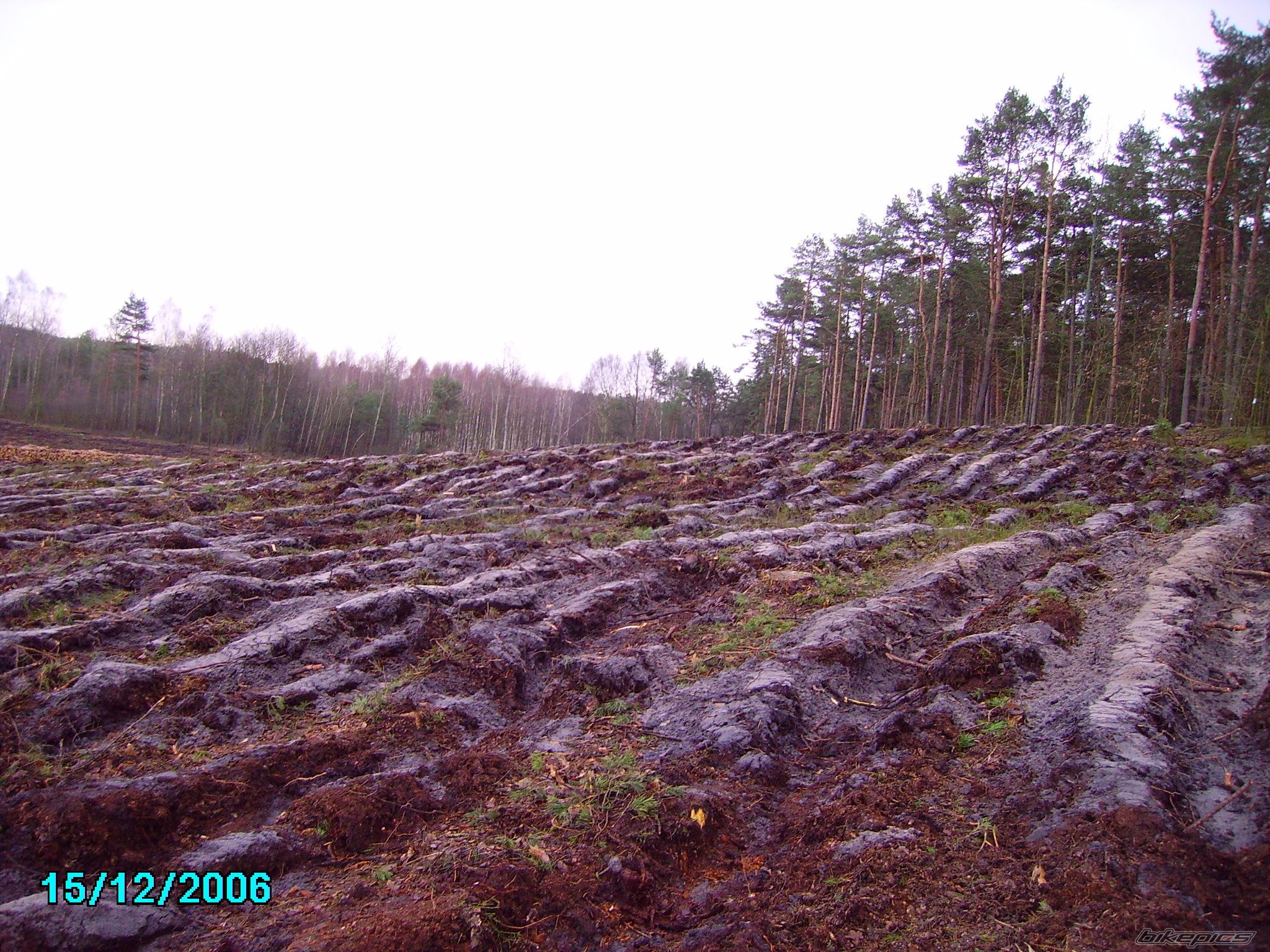 Photo 770593