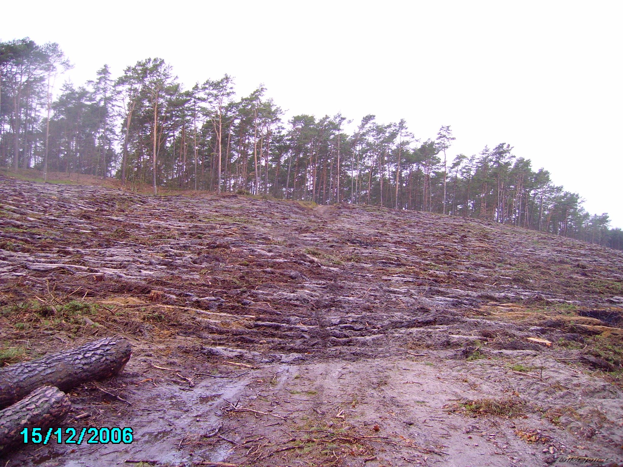 Photo 770594