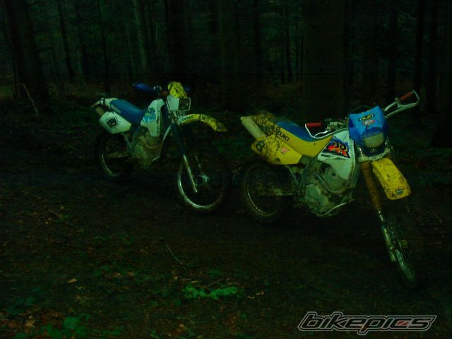 Photo 770652