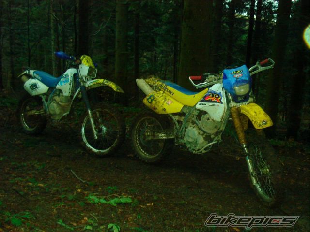 Photo 770653