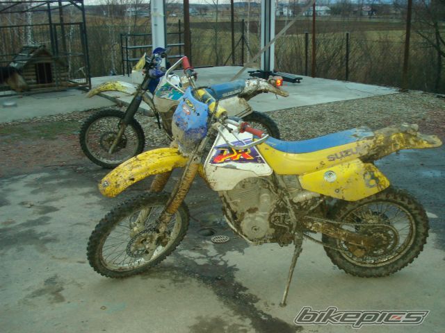 Photo 770661