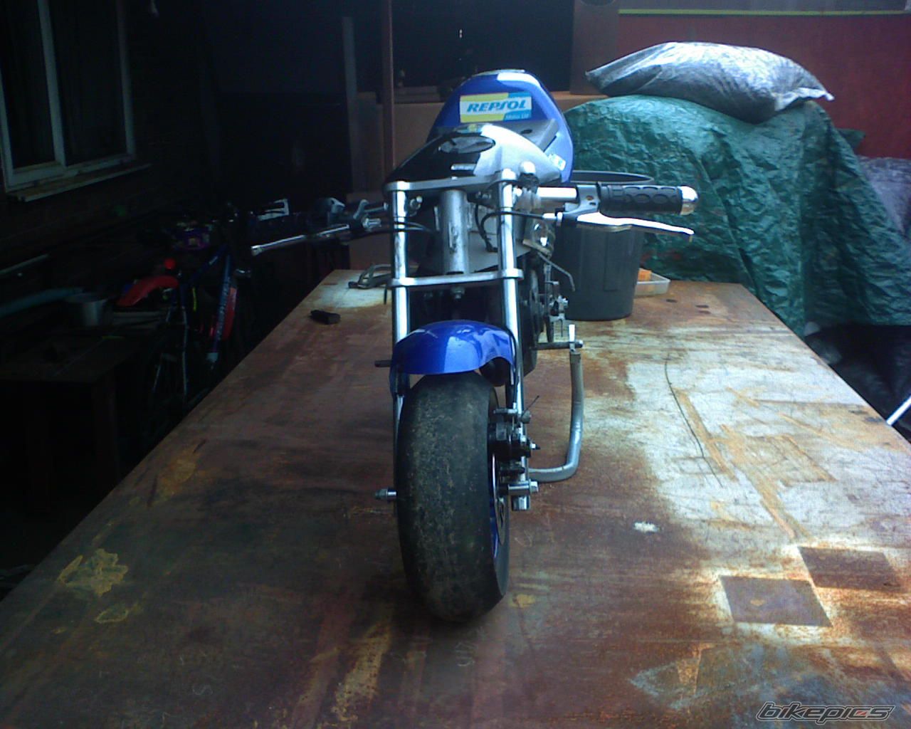 Photo 770748
