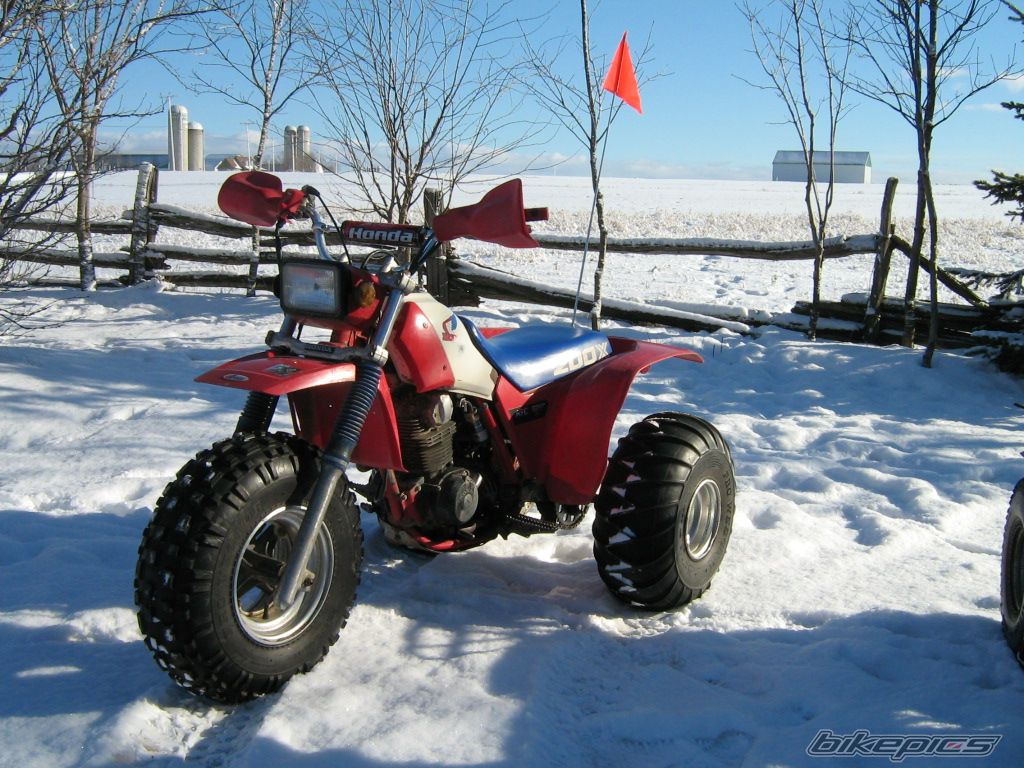Bike Photo 770769