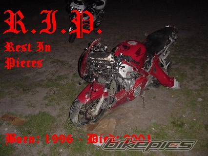 Photo 7709