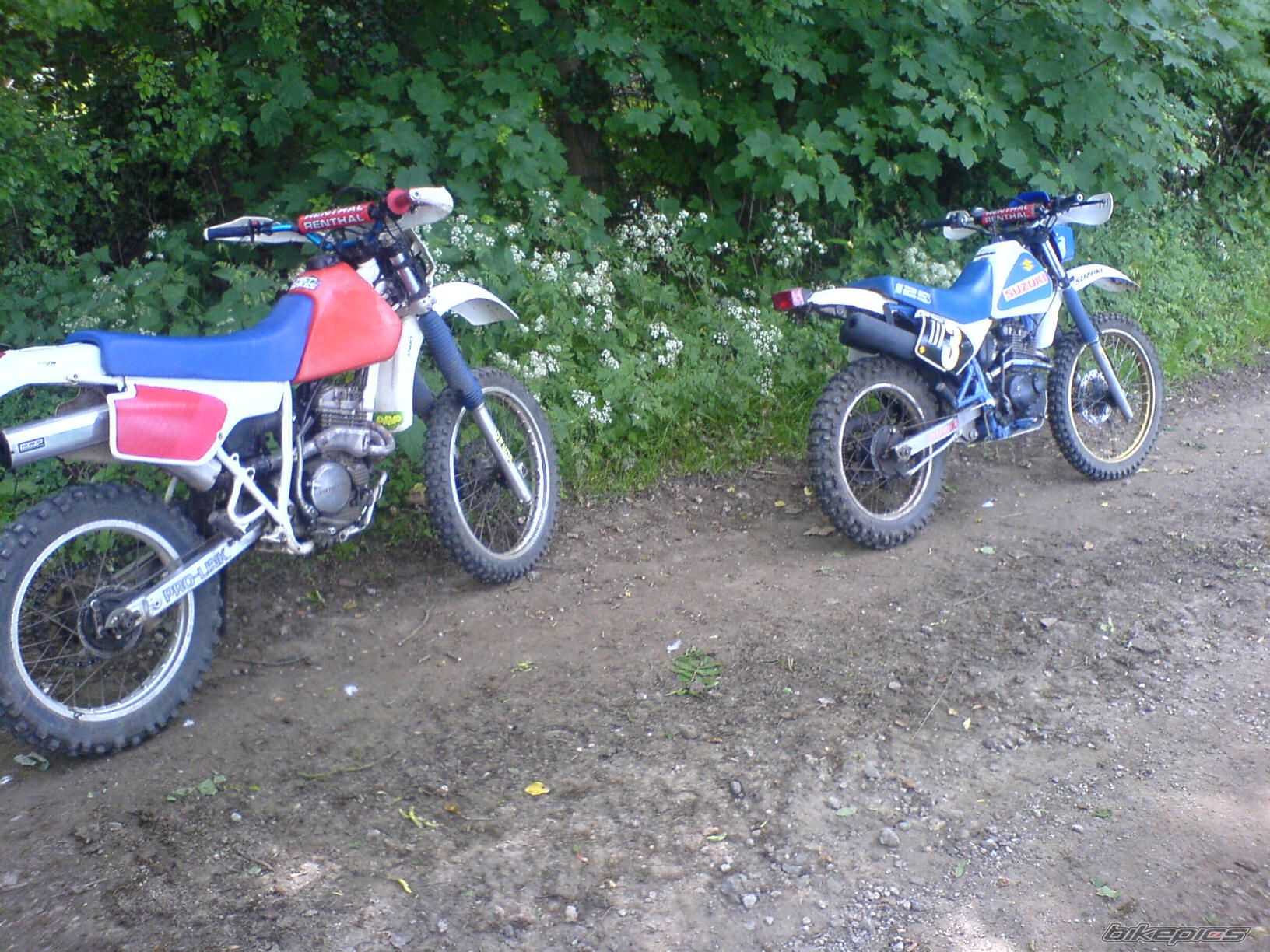 Photo 770968