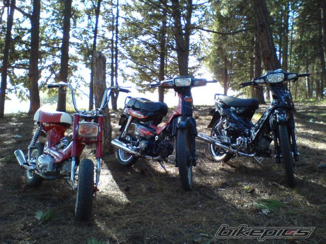 Photo 771179