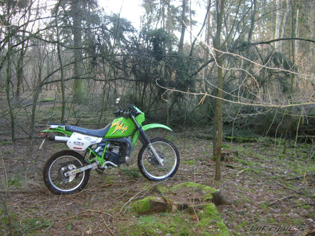 Bike Photo 771184