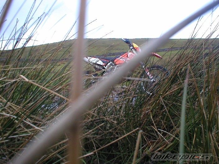 Bike Photo 771252