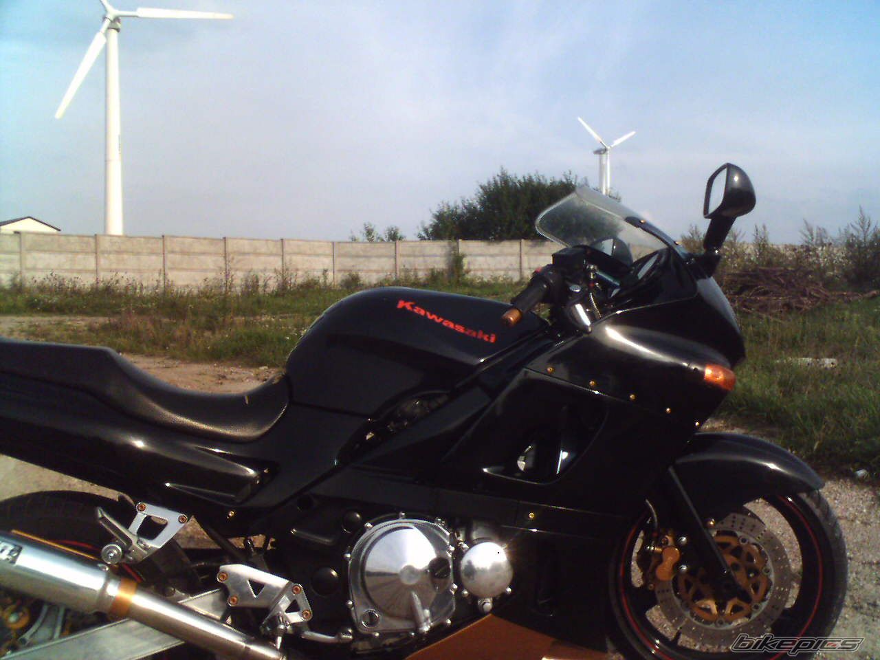 Photo 771293