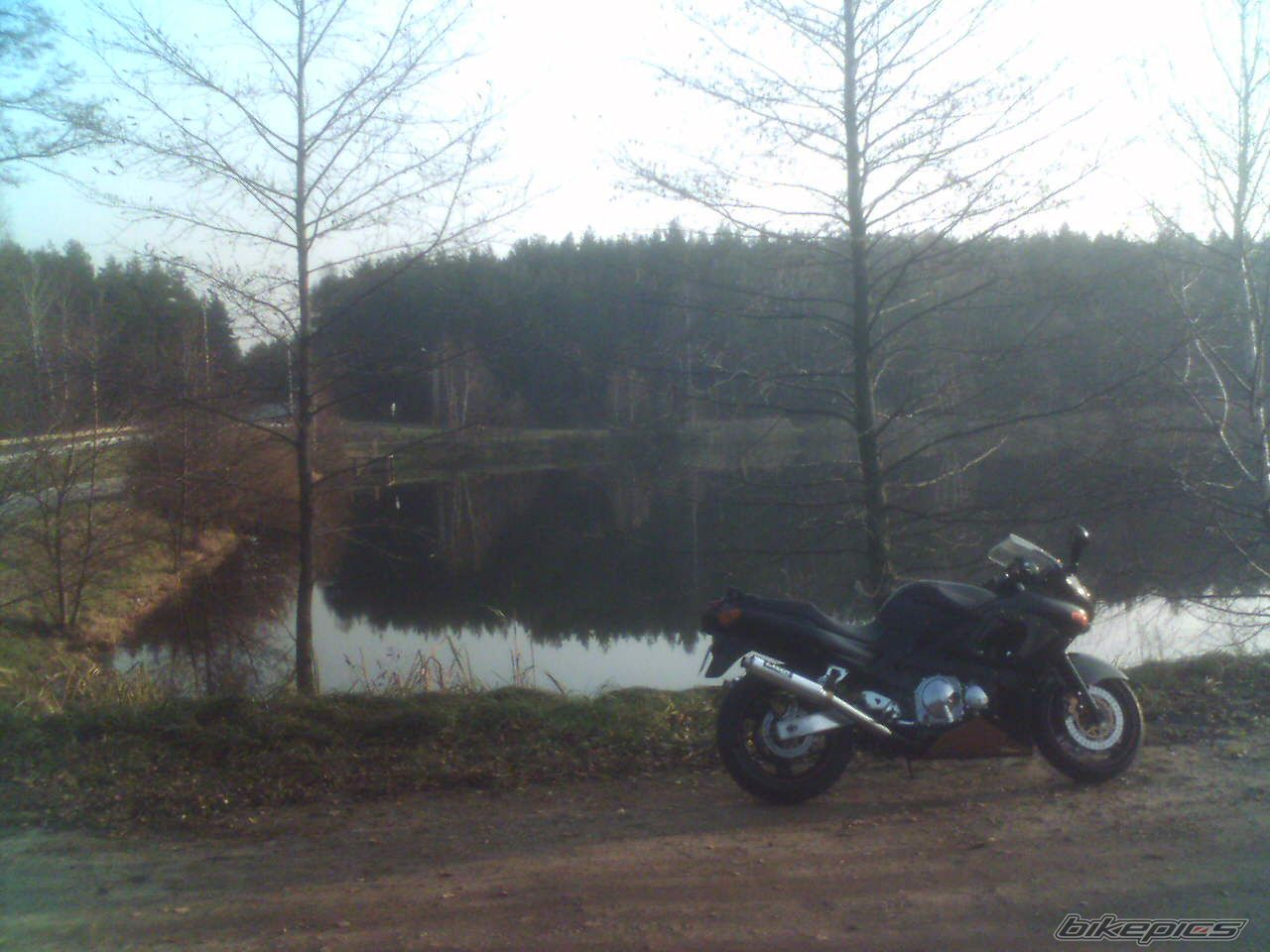 Photo 771308