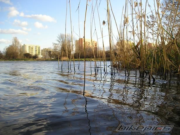 Photo 771323