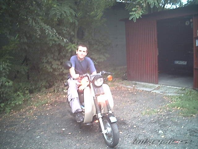 Photo 771658