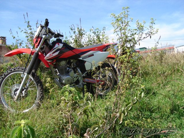 Photo 771733