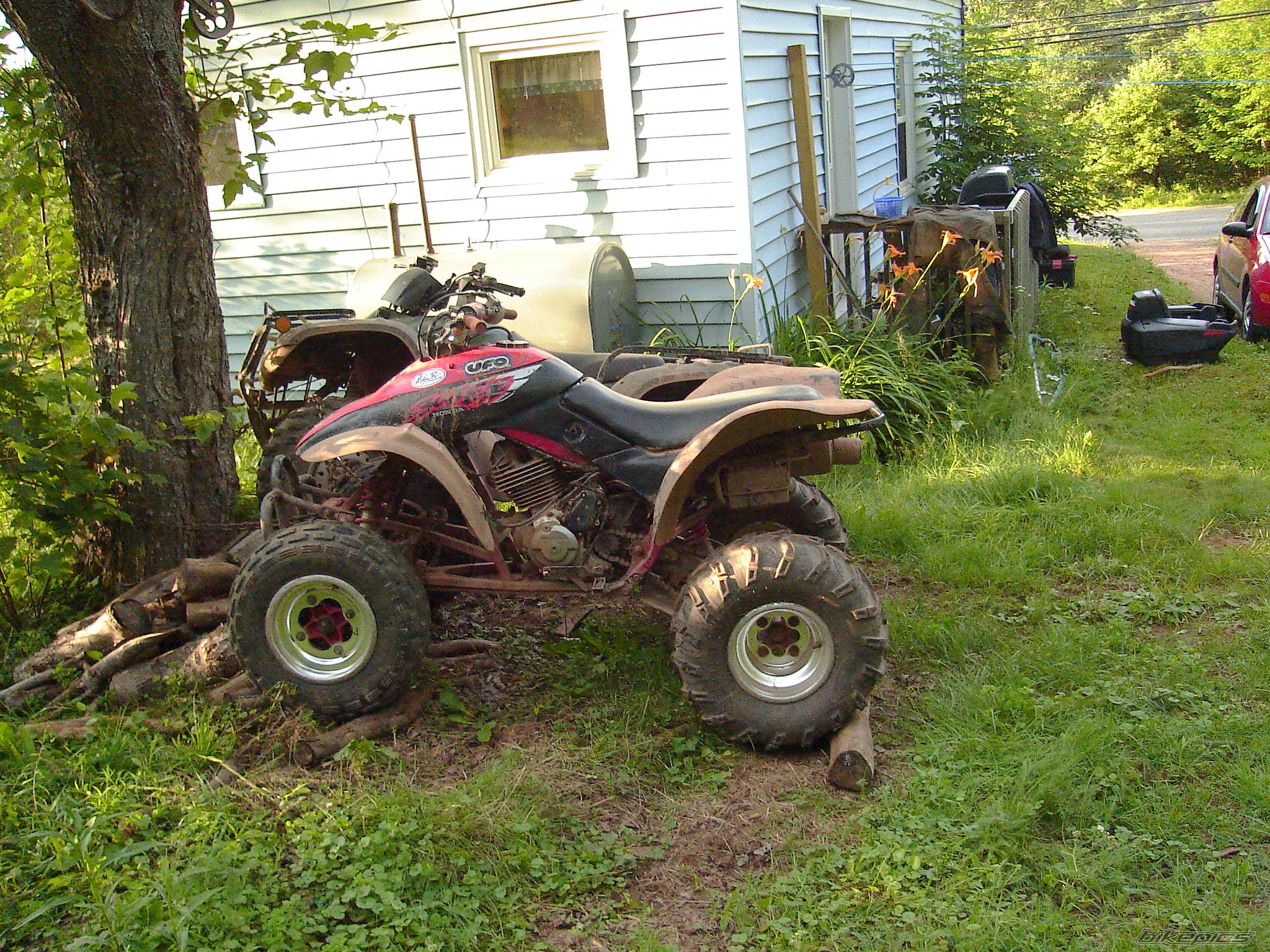 Photo 771757
