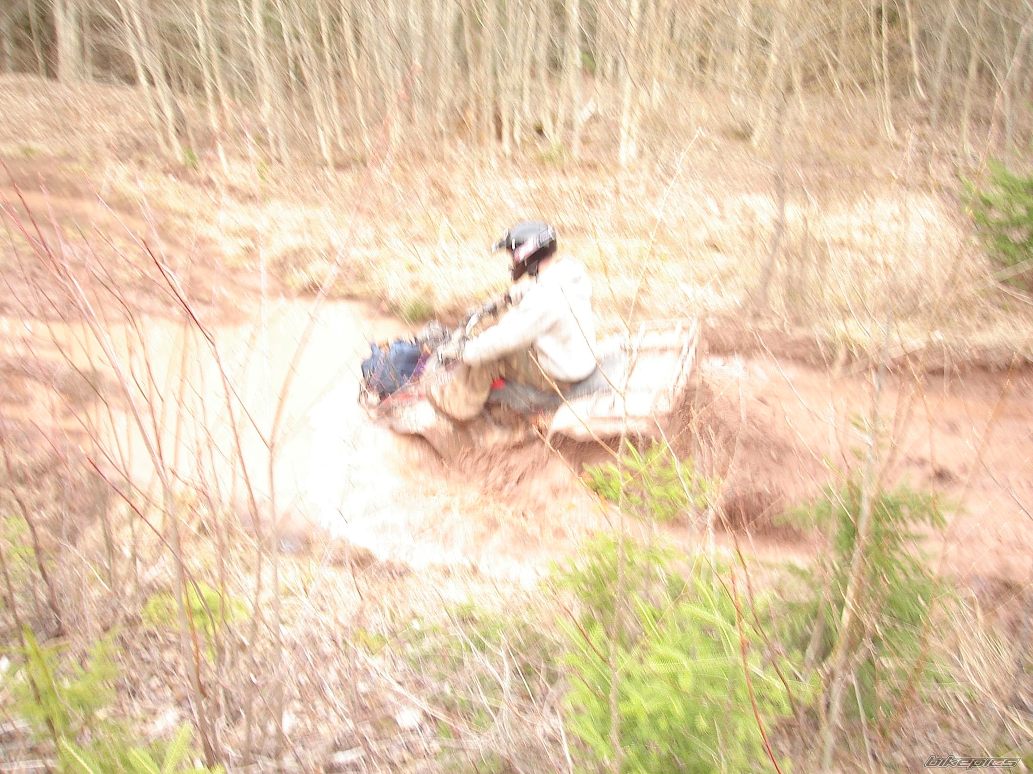 Photo 771759