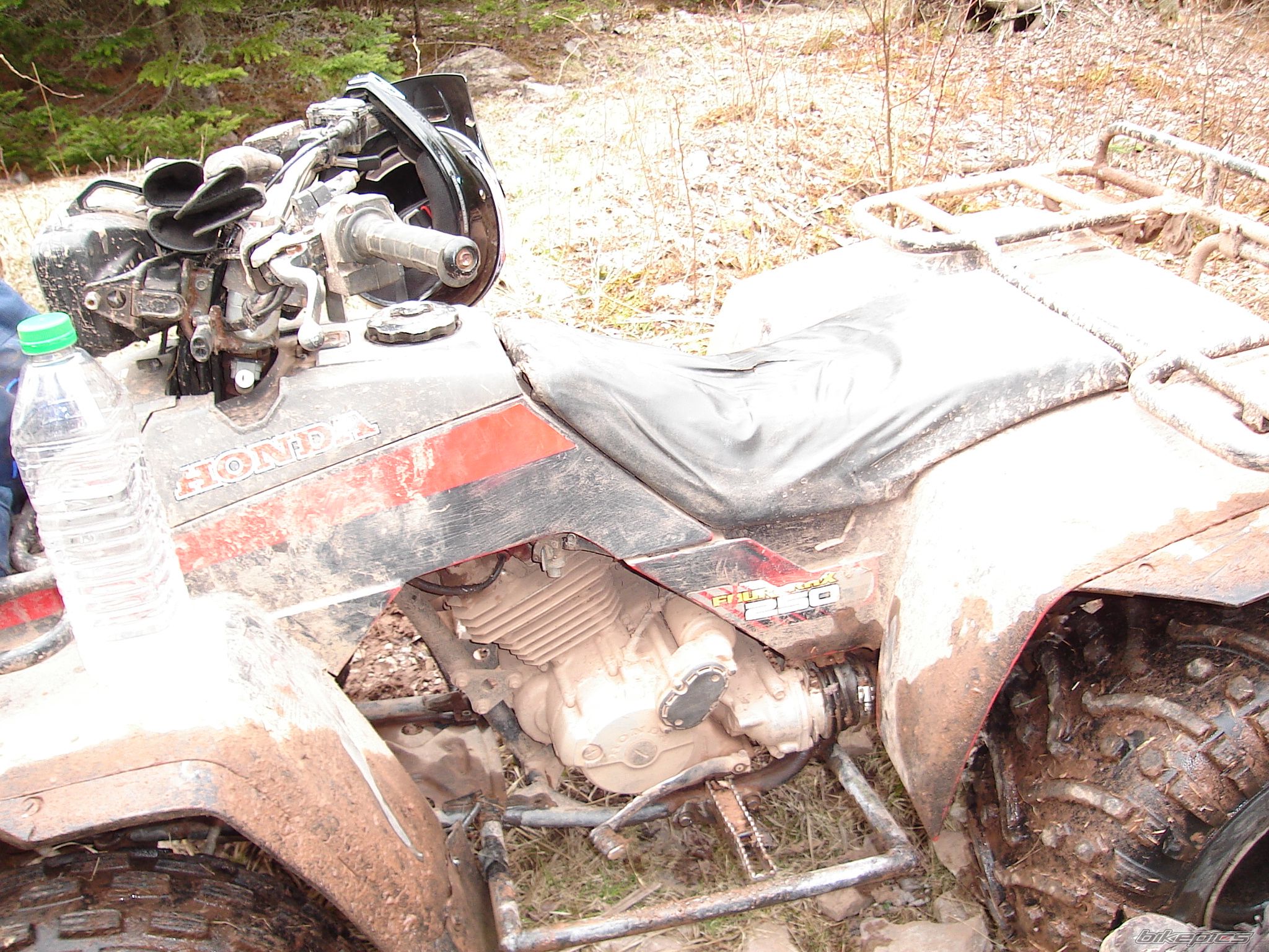 Photo 771765