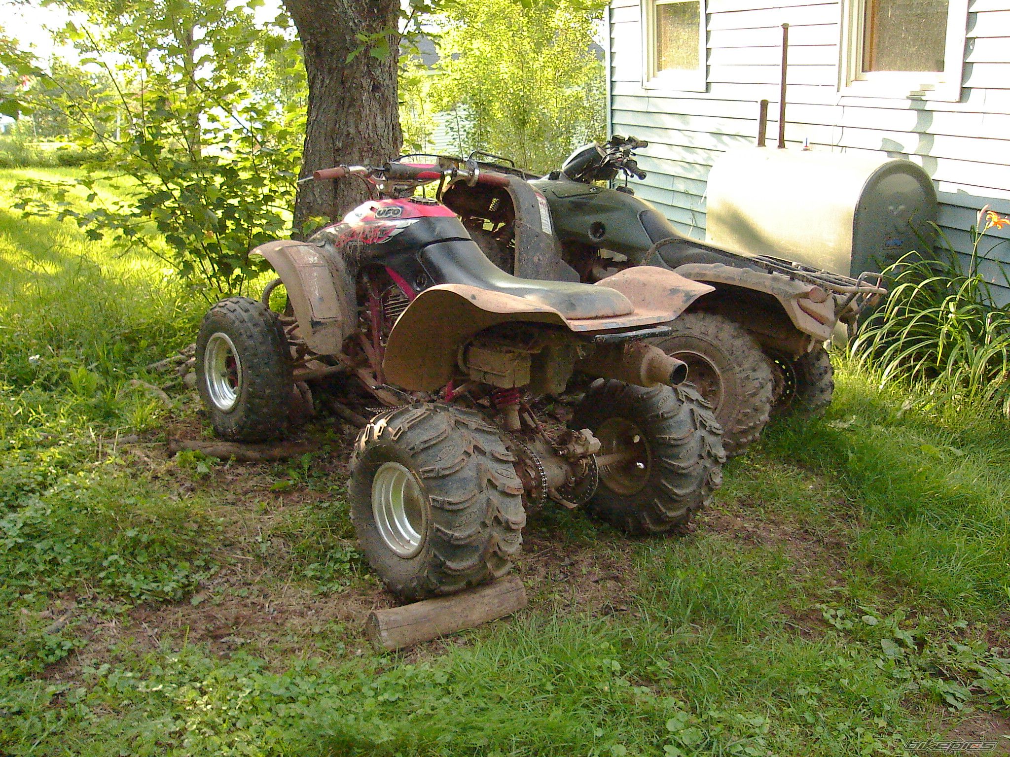 Photo 771766