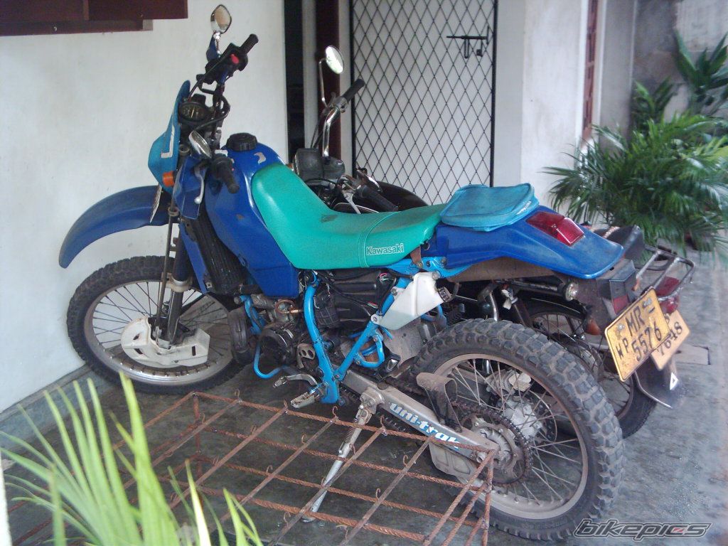 Photo 772031